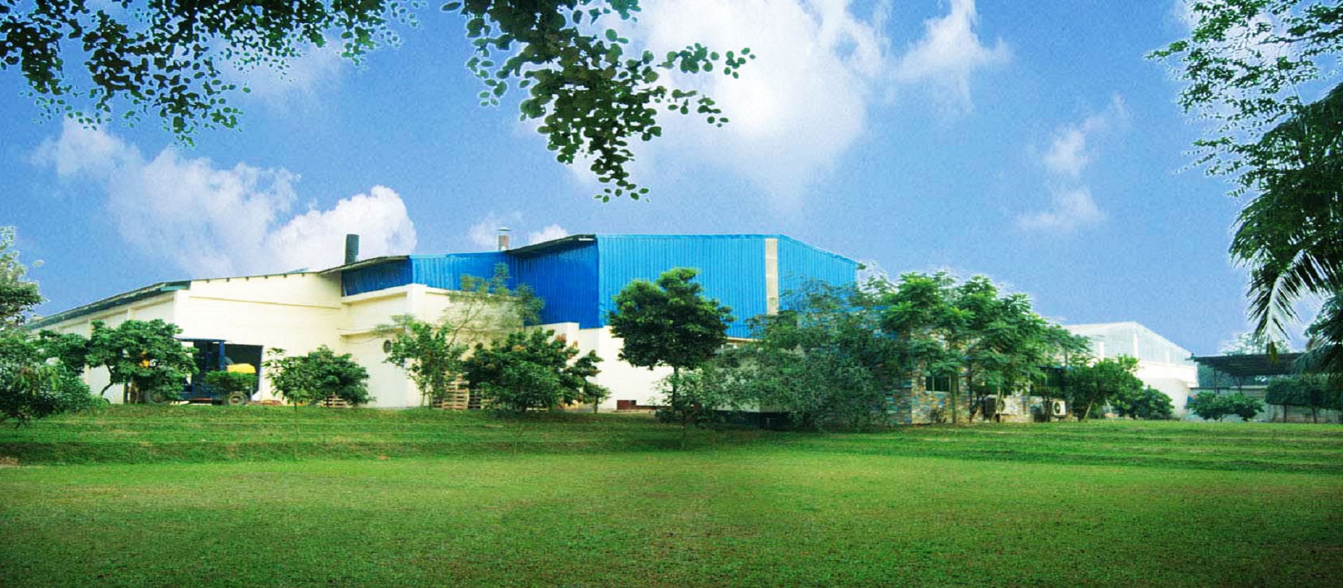 Company Background